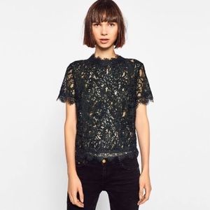 Zara Trafaluc Black Lace Top